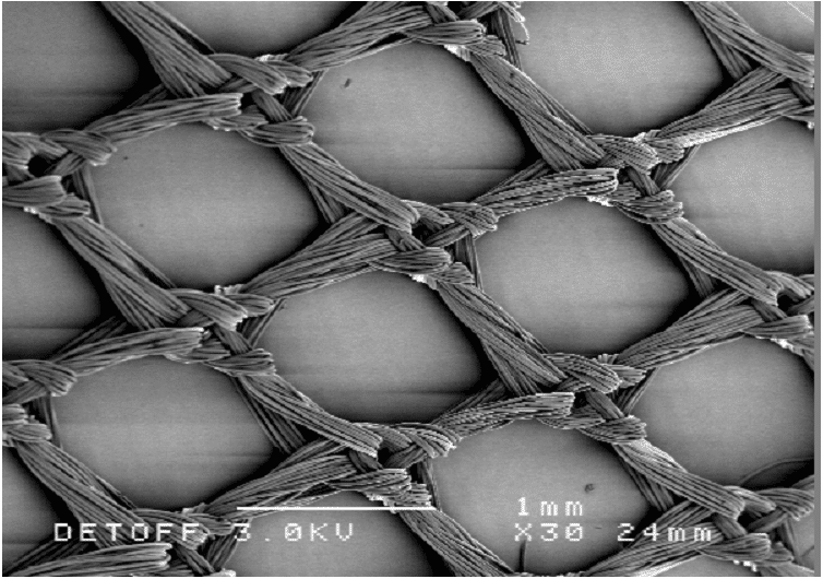 electron microscopic cross section image of a brow suspension
