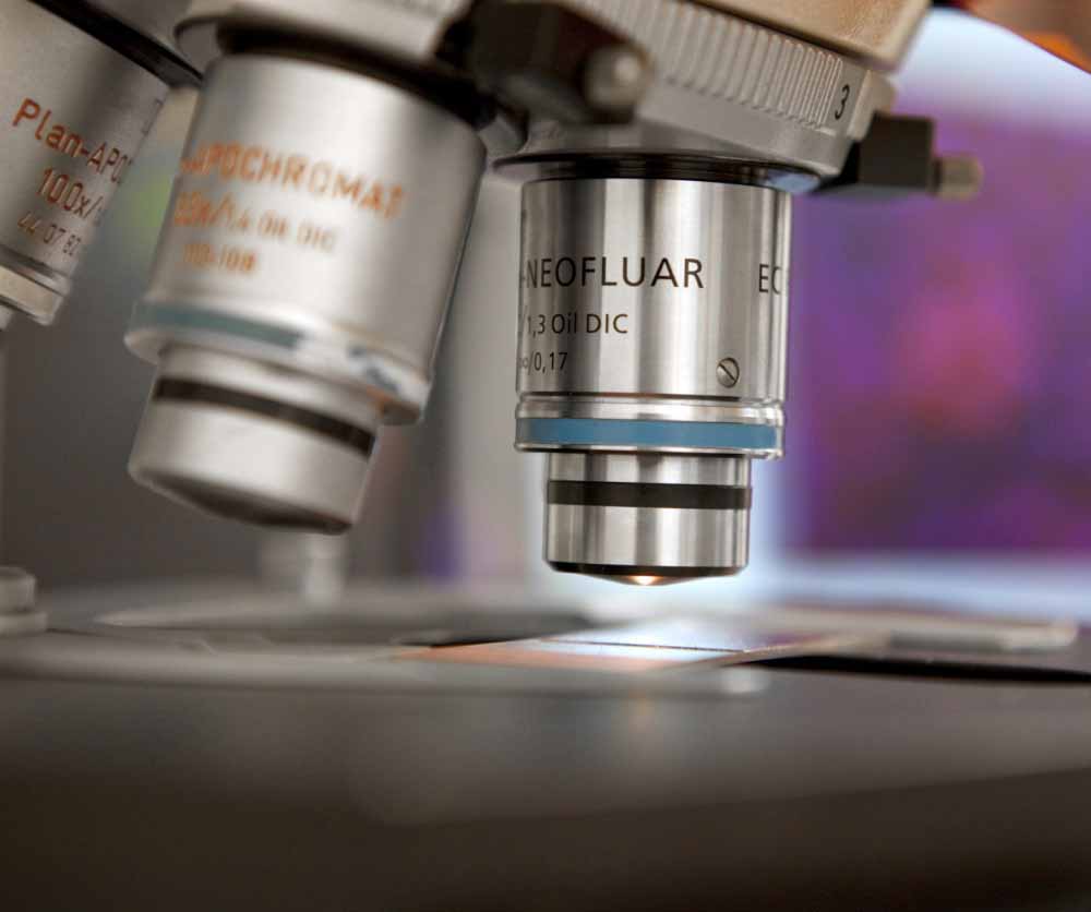 Microscope for oculoplastic research 
