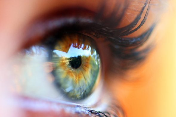 Eye trauma