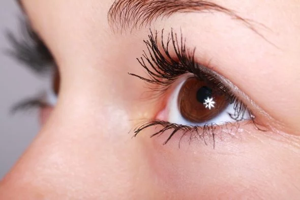 Eye Close Up Woman