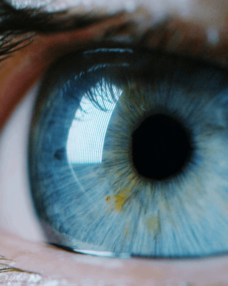 Close up of blue eye