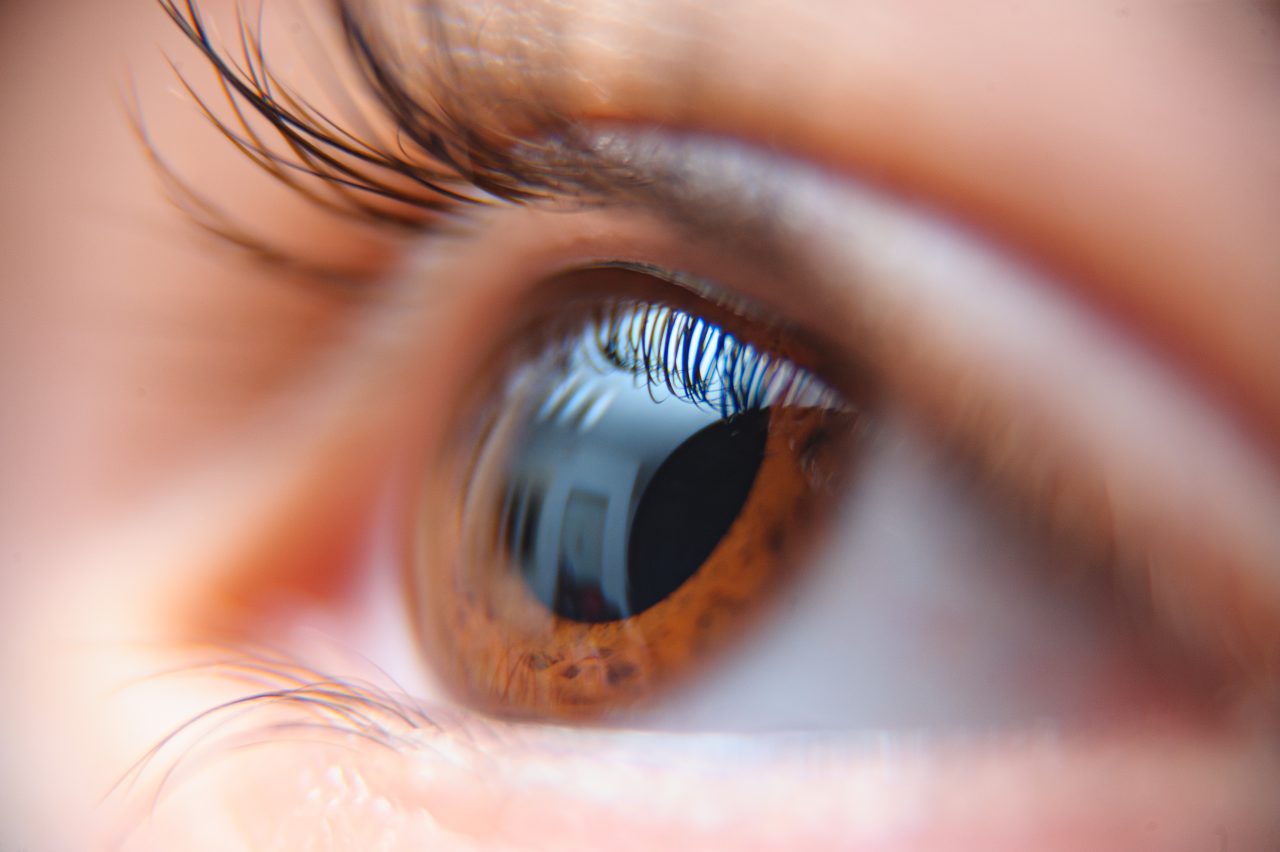 A closeup of a person's beautiful brown eye