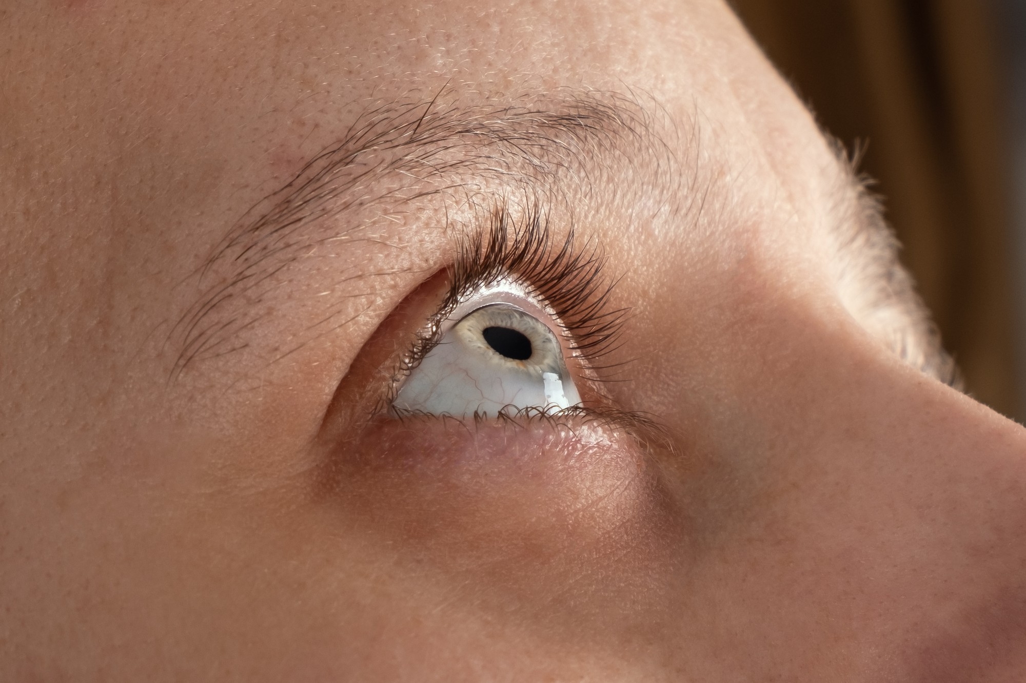Close-up of an eye looking upward in bright light, showing the iris, lashes and eyebrow